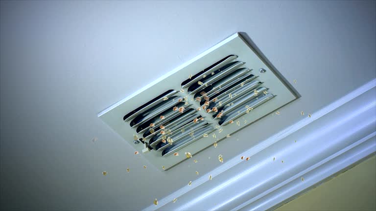 Best Affordable Duct Cleaning Services  in University Of Virginia, VA